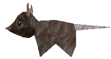 Rats