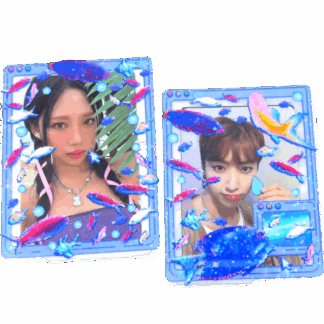 Digital Fish – Photo/K-Pop Photocard Toploader Frame Decoration Set
